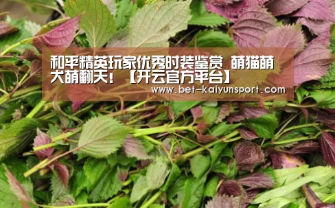 开云官网