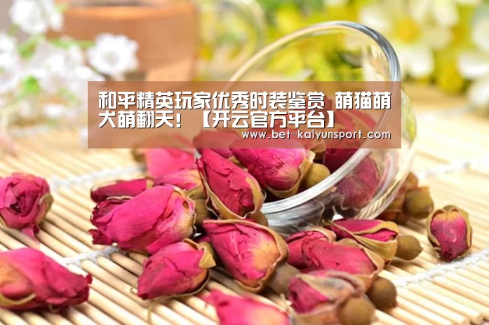 开云综合服务