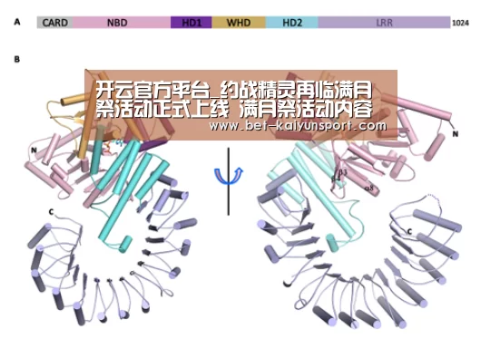 开云官方平台_约战精灵再临满月祭活动正式上线 满月祭活动内容一览(图1) 开云中国官网