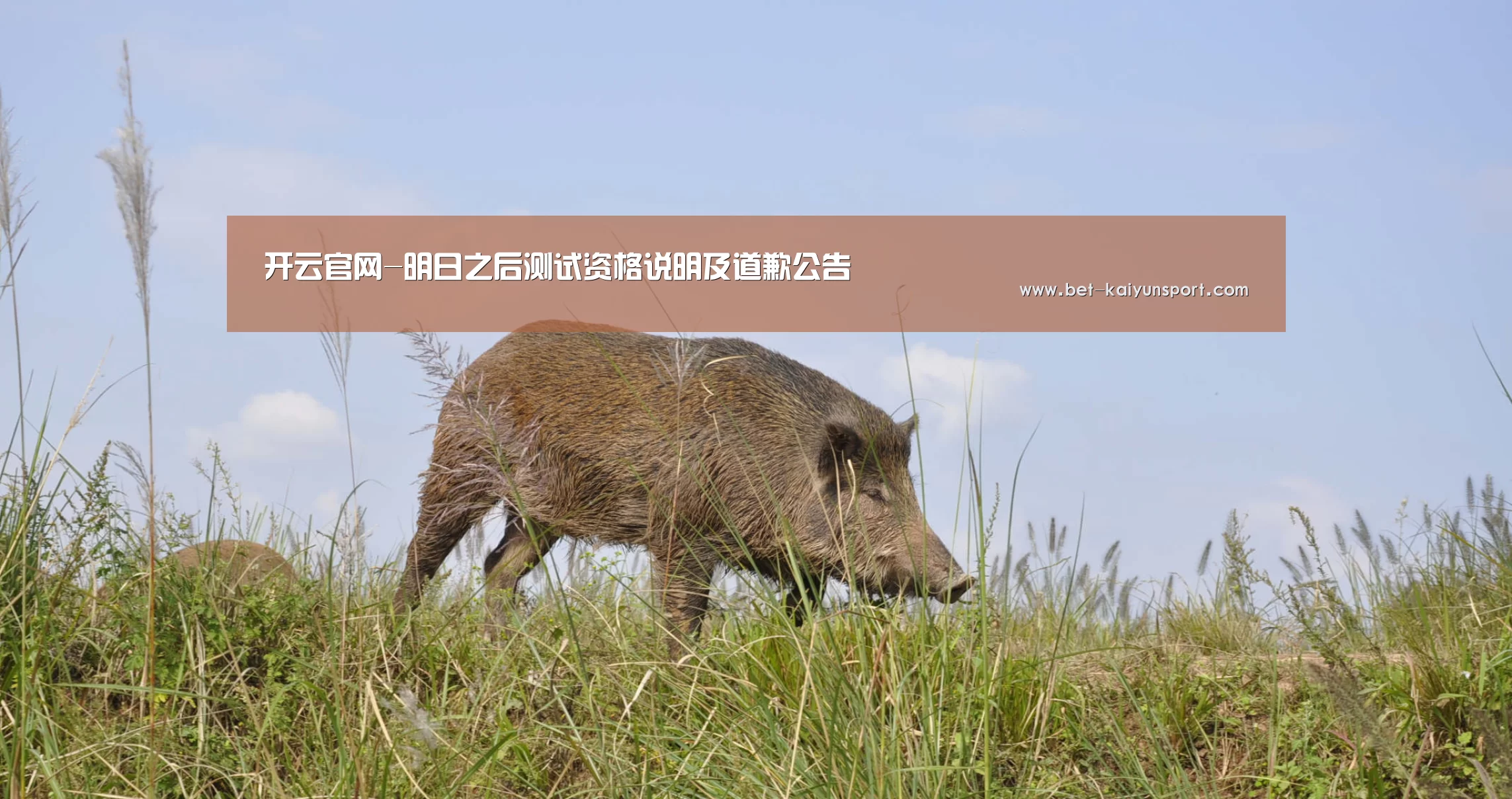 开云官网-明日之后测试资格说明及道歉公告(图1) 开云官网